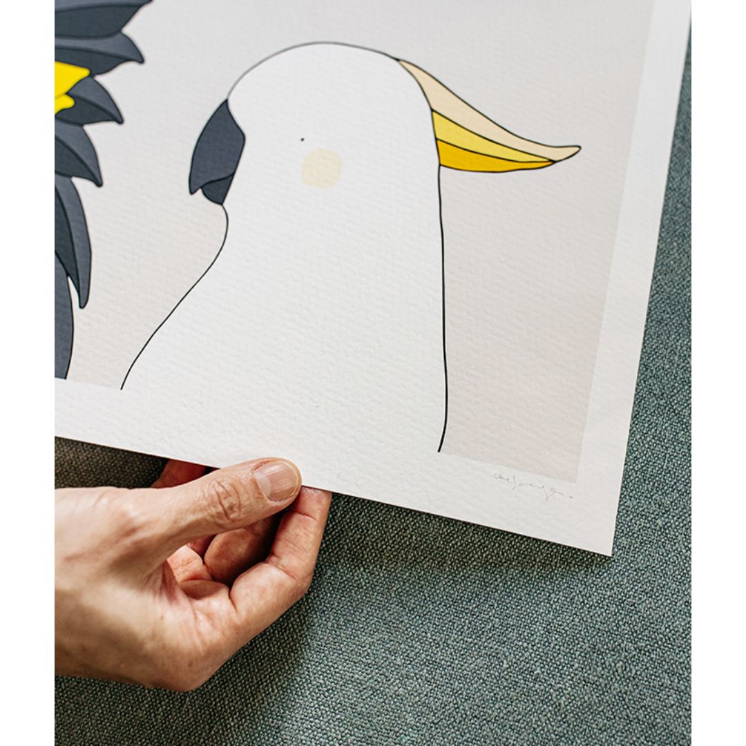 Canberra's cockatoo the Gang-Gang taking flight through brittle gums in this beautifully framed print from Eggpicnic