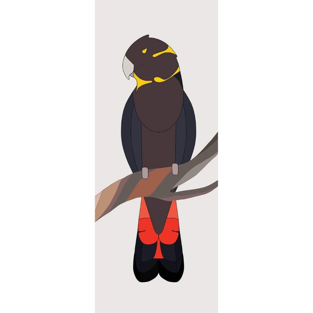 This handsome glossy black cockatoo is printed on the highest quality archival paper and framed in Tasmanian oak.