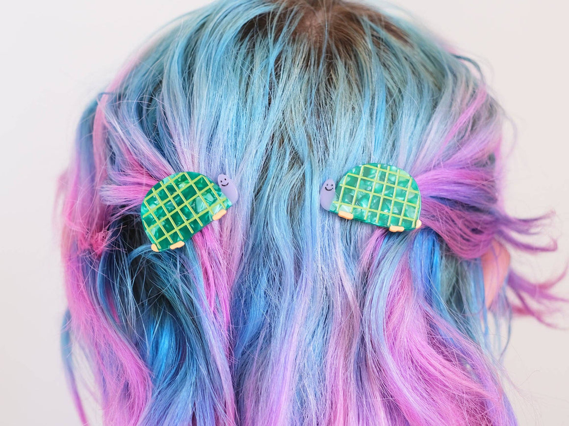 Tortoise Hair Slide Clips