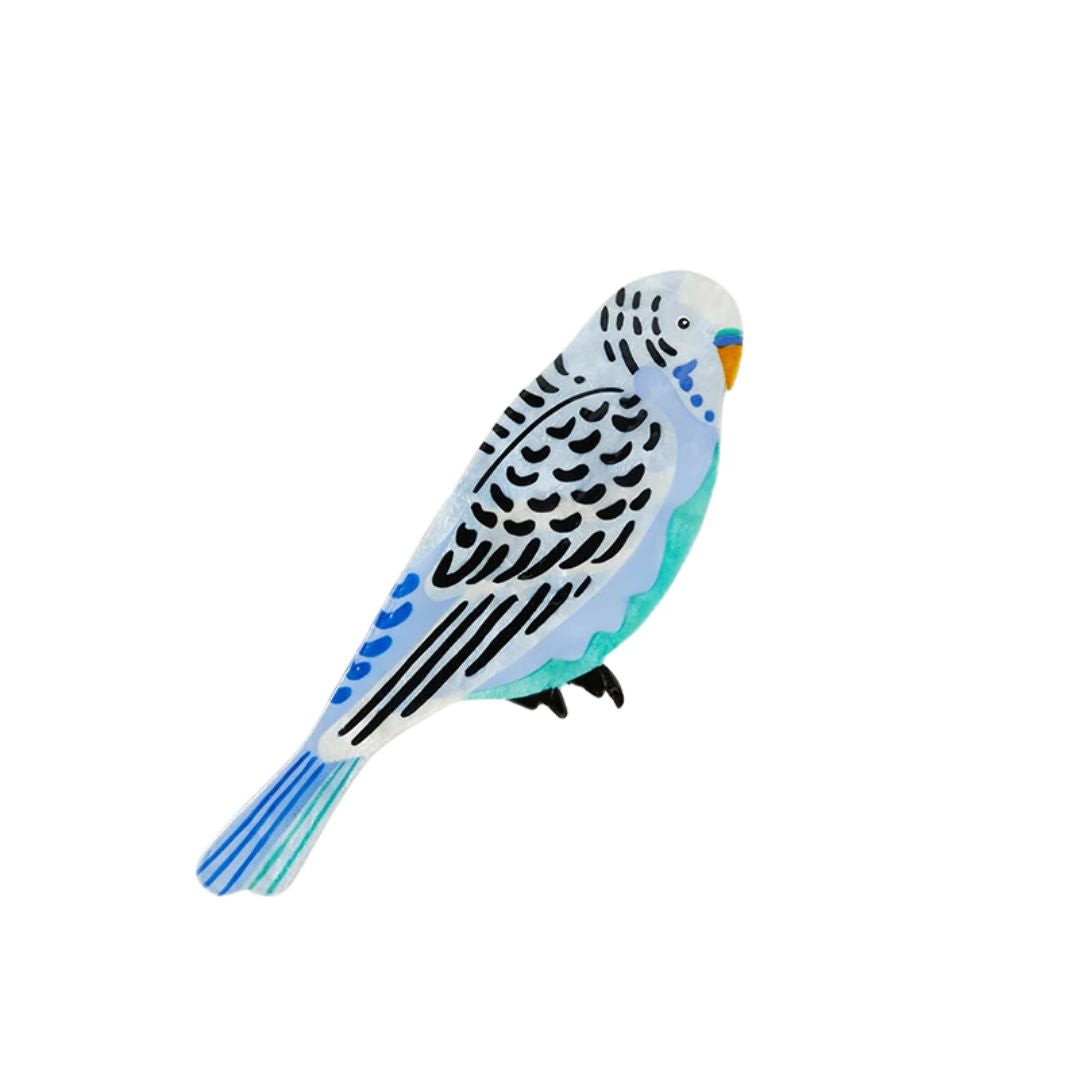 Aerial Budgie Wall Art