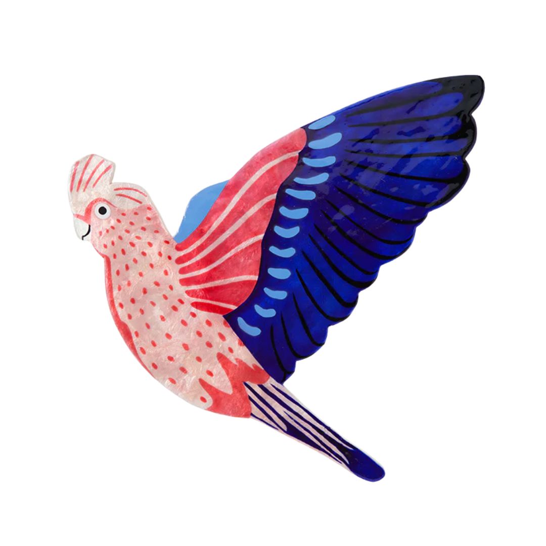 Aerial Galah Wall Art