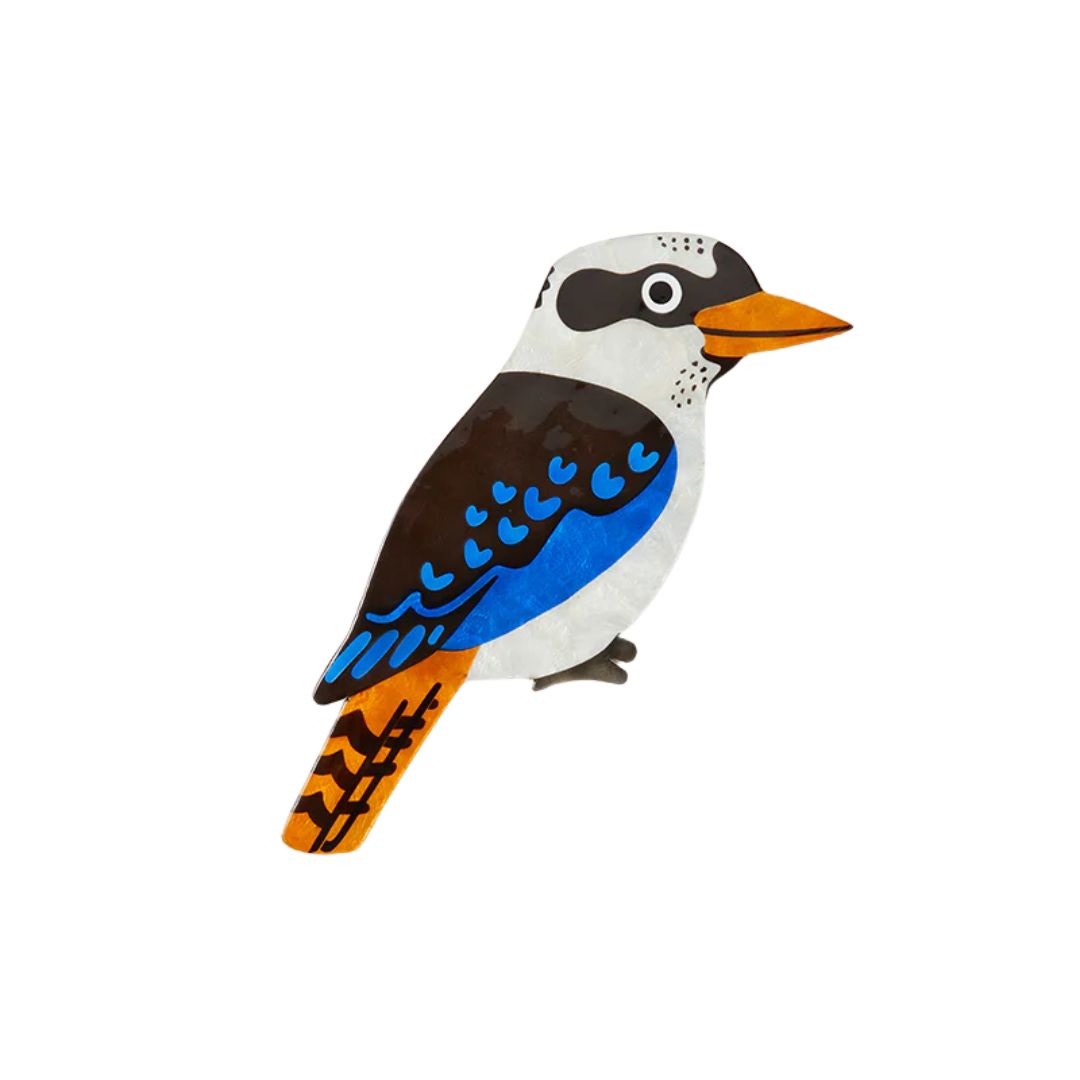 Aerial Kookaburra Wall Art