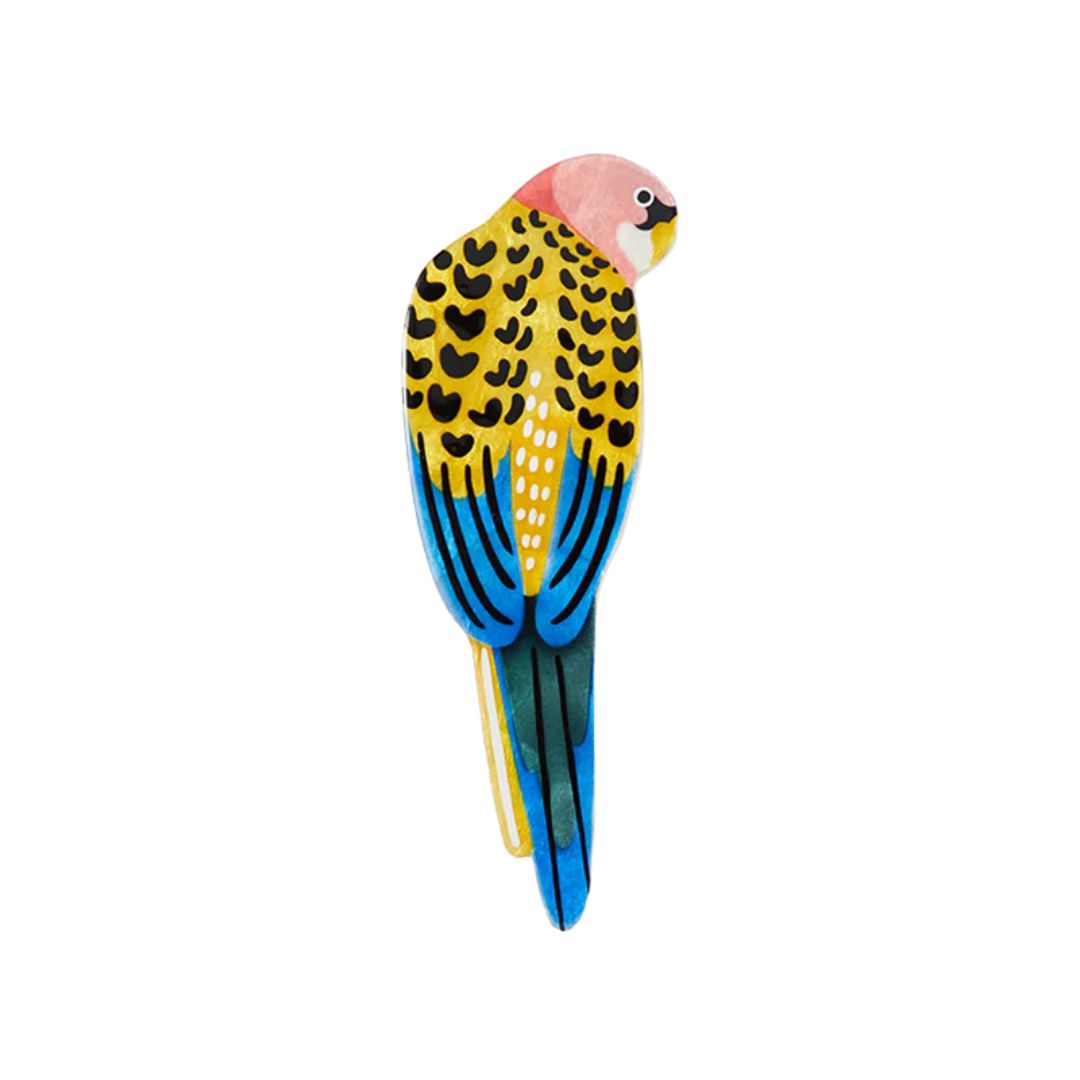 Aerial Yellow Rosella Wall Art