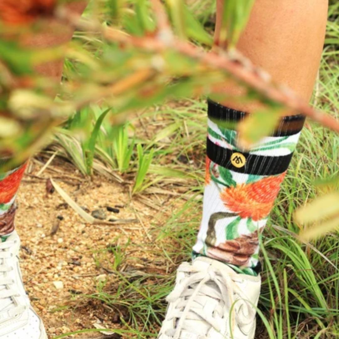 BANKSIA Flower Socks