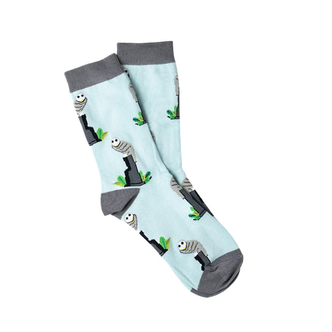 Socks - Belconnen Owl