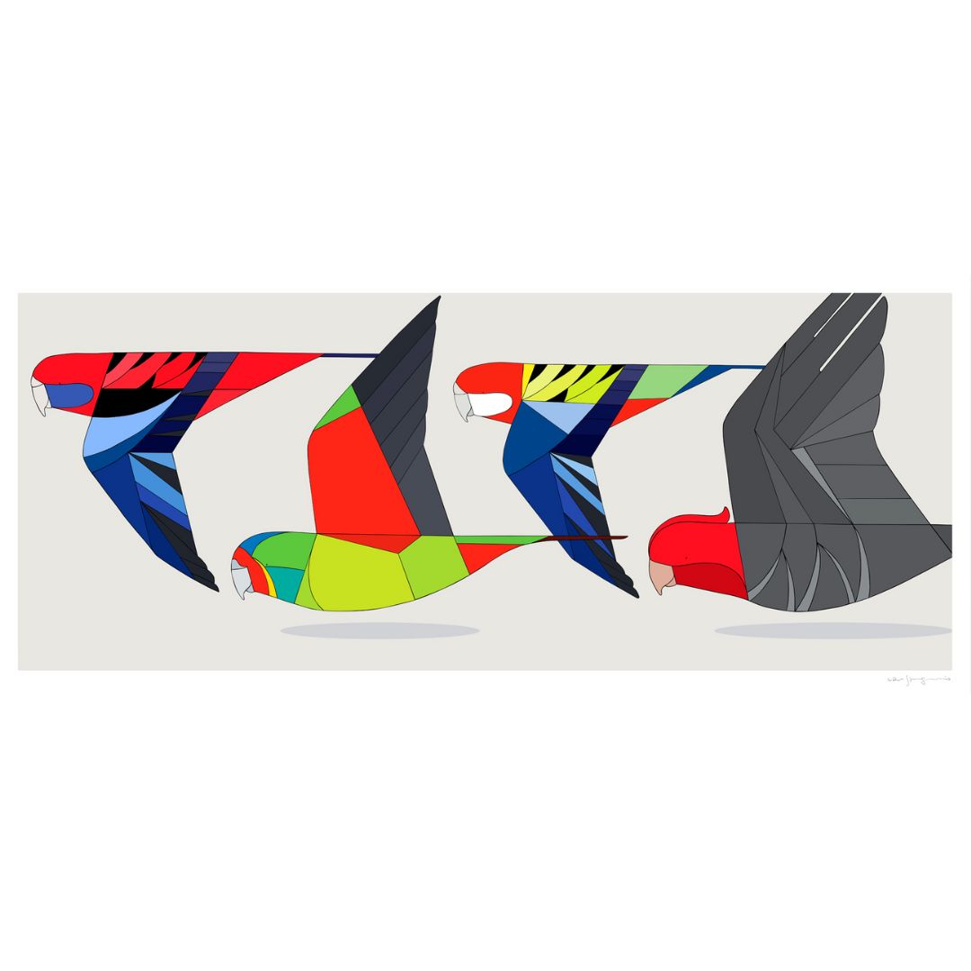 Birds of Canberra in flight - Framed in Tasmanian Oak