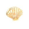 Creamy Shell Clip