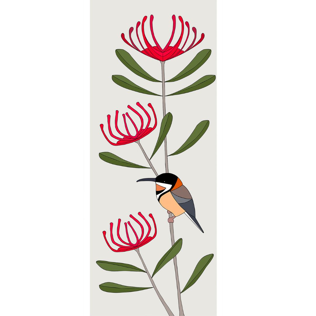 Eastern Spinebill & Tasmanian Waratah - Framed in Tasmanian Oak