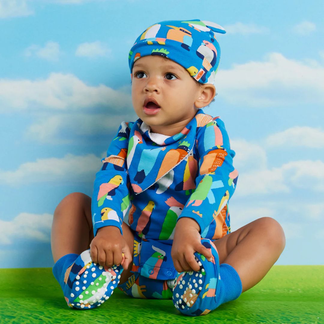 Flamin Galah Blue- Yoyo Bib - Organic