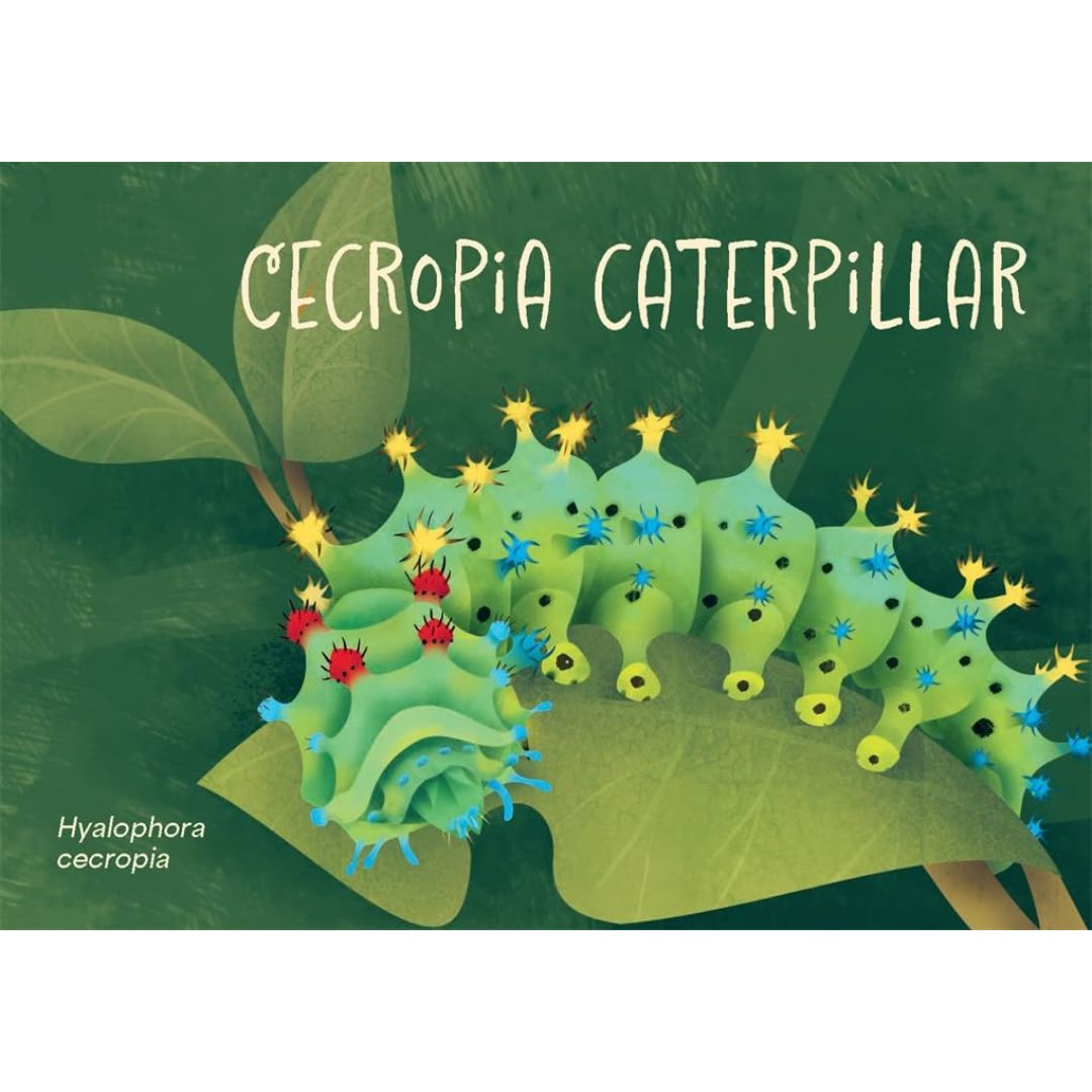 Minibeasts - The Big World of Tiny Creatures