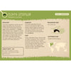 Minibeasts - The Big World of Tiny Creatures