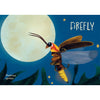 Minibeasts - The Big World of Tiny Creatures