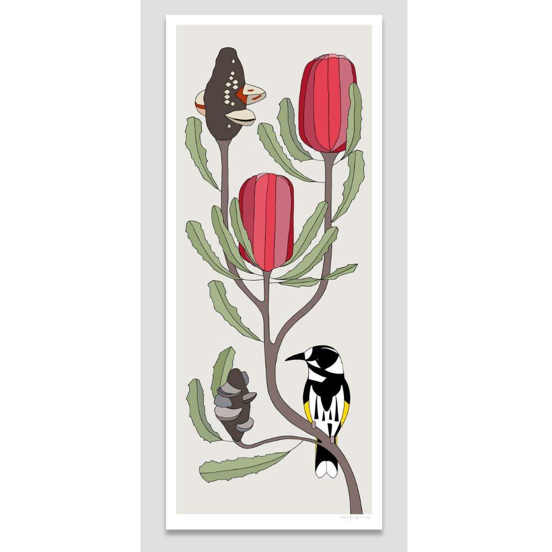New Holland Honeyeater and Banksia menziesii