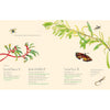 Planting for Native Birds, Bees and Butterflies By Jaclyn Crupi
