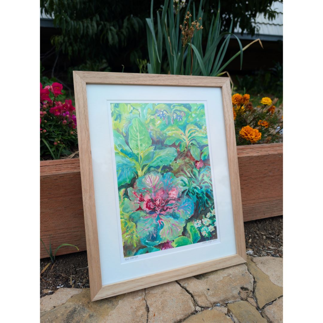 Ineka's cabbage patch in full bloom