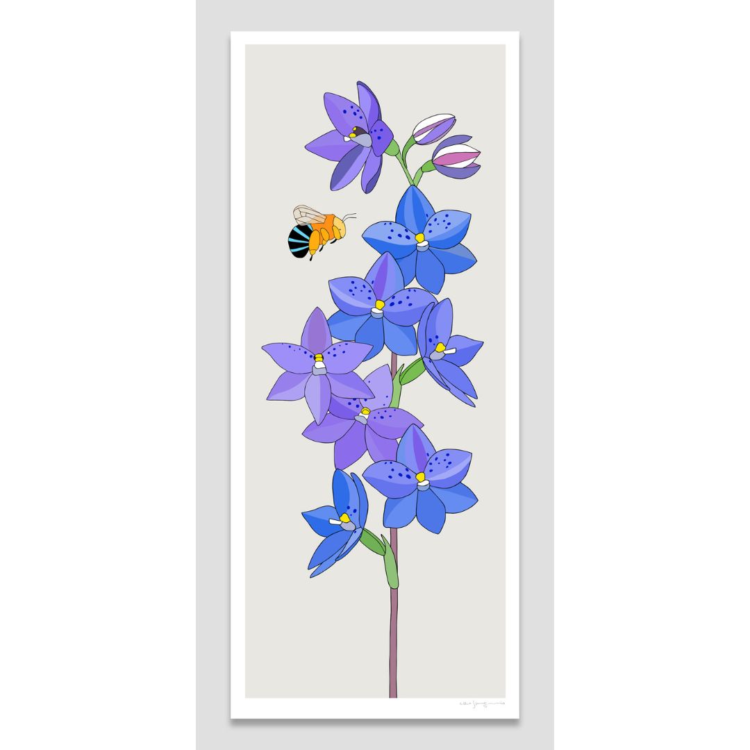 Spotted Sun Orchid