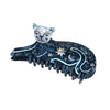 Stary Leopard Claw