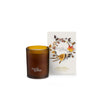 Sweet Orange, Nutmeg & Cinnamon Christmas Candle