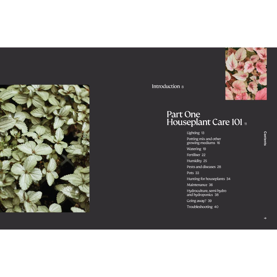 The Plant Book by Tammy Huynh