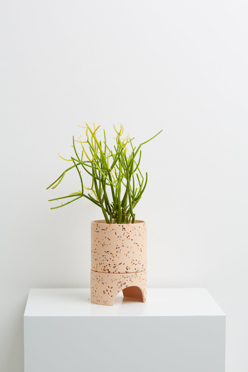 Archie Pot - Terrazzo Salt