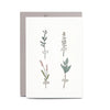 Botanic Stems // Greeting card
