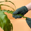 Leaf Cleaning Gloves - We The Wild