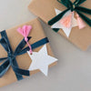 Star Gift Tag // Plantable card