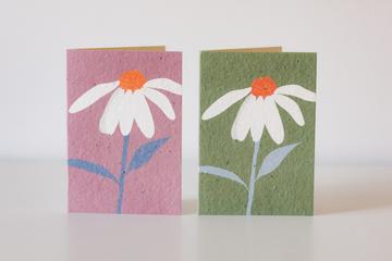 This card is embedded with Swan River daisy seeds and can be planted for an array of Swan River daisies to bloom Recycled paper envelope included with regular size Blank inside, so go for it; pour your heart out  Due to the handmade nature of our recycled paper and placement of the seeds, no two pieces are the same making each piece truly unique.
